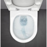 Унитаз подвесной LAUFEN PALOMBA безободковый 8.2080.2.000.000.1